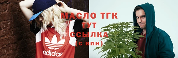 крисы Абаза