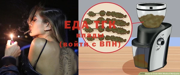 крисы Абаза