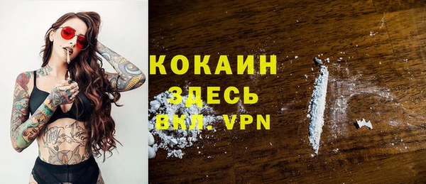 крисы Абаза