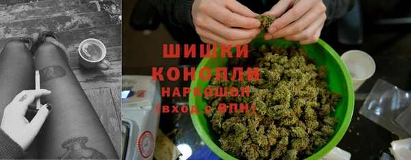 индика Абдулино
