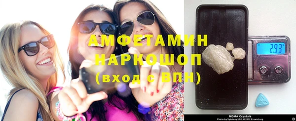 крисы Абаза